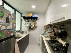 Esparina Residences (D19), Condominium #470155881
